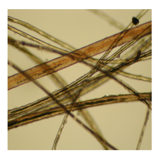 Textile Analysis
